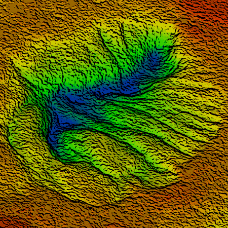 Picture for category 3D scan of fossils