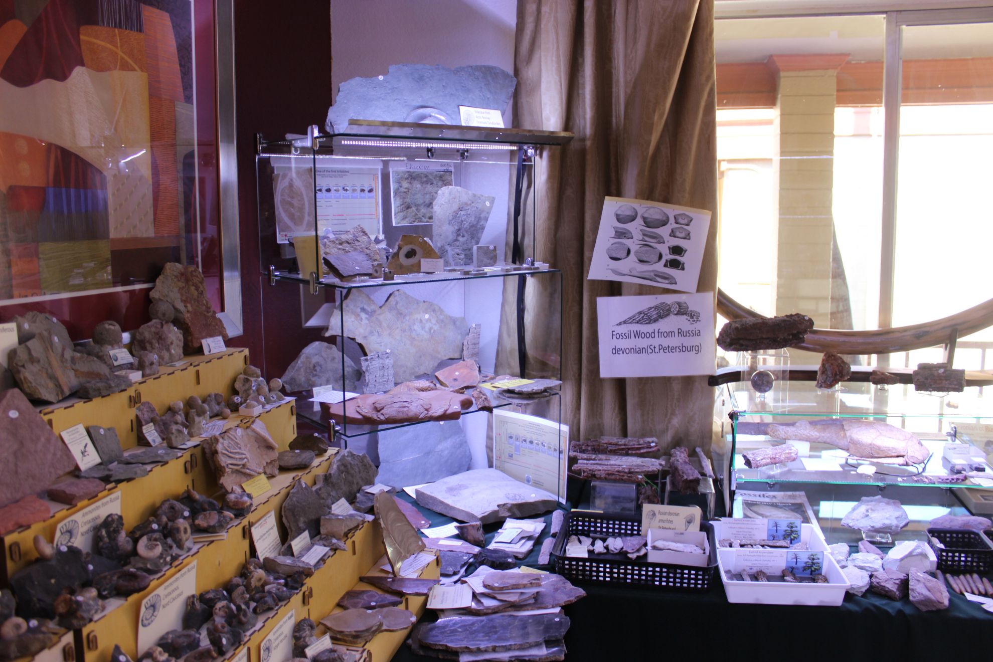 Tucson fossils show 2019